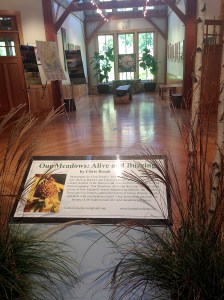 Photo by Chris Bosak The entrance to the "Our Meadows: Alive and Buzzing" exhibit at the Darien Nature Center.