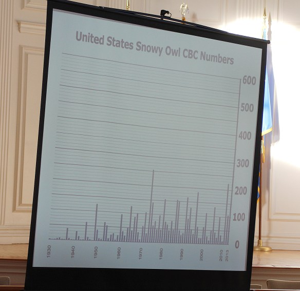 Photo by Chris Bosak This chart shows the proliferation of Snowy Owls during the 2013-14 winter in the U.S.