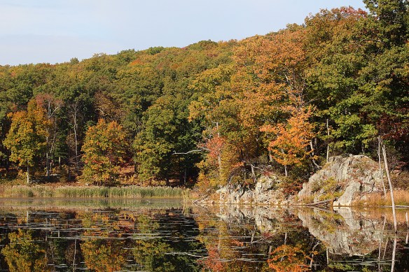 Photo by Chris Bosak Fall colors at Little Merganser Lake in Connecticut, fall 2015.
