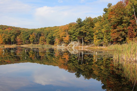 Photo by Chris Bosak Fall colors at Little Merganser Lake in Connecticut, fall 2015.