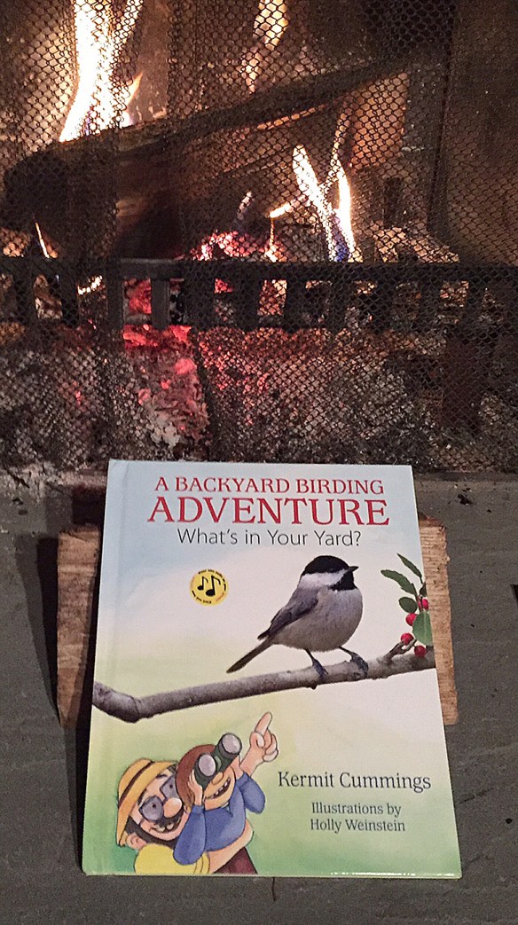 A Backyard Birding Adventure