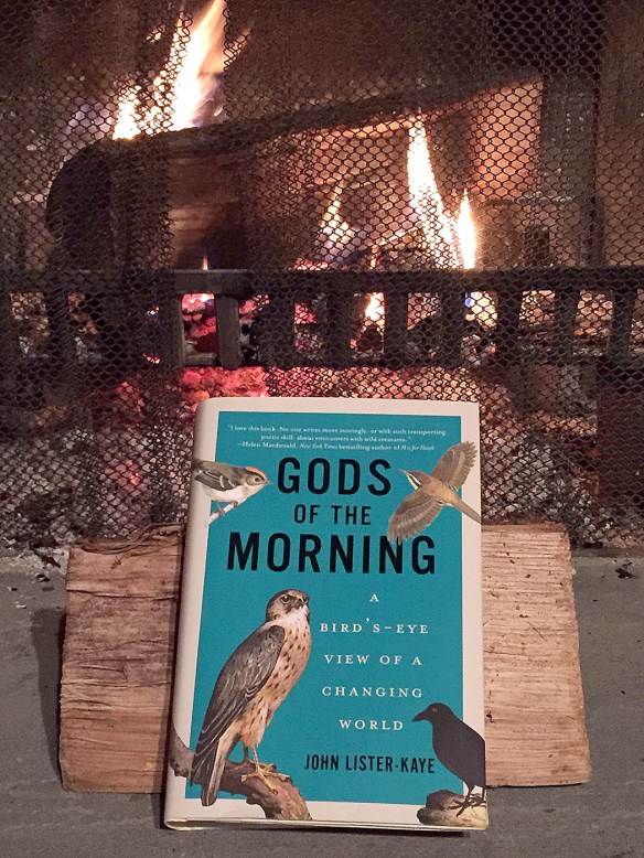 Photo by Chris BosakCover of Gods of the Morning by John Lister-Kaye