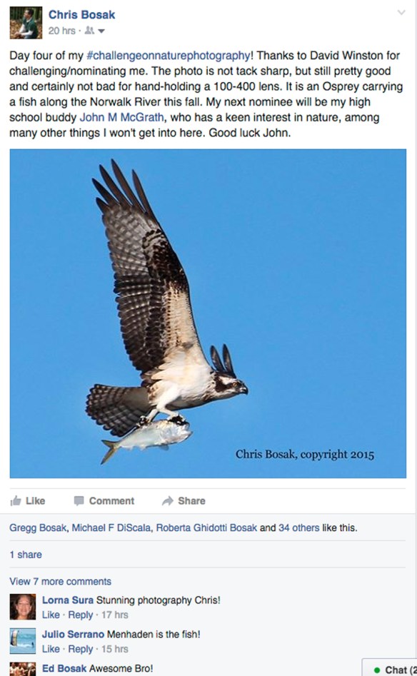 Screen shot 2015-12-07 at 2.16.10 PM