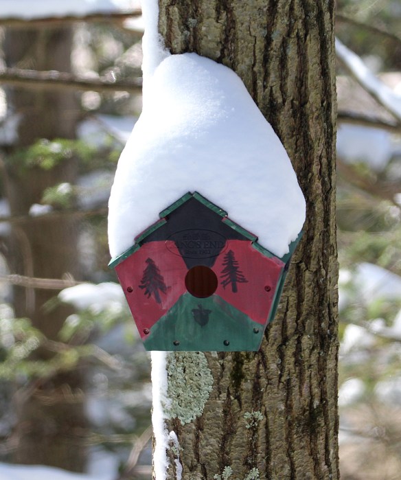 https://birdsofnewengland.com/wp-content/uploads/2016/02/birdhouse-snow.jpg