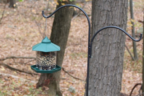 The set up for the Audubon Park "My Bird Week" media challenge. Backyard in Danbury, Conn., Nov. 2016
