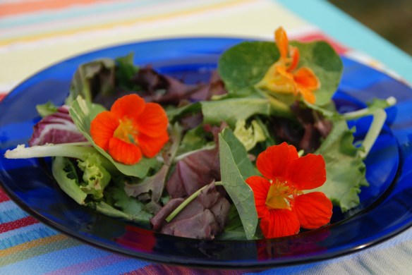 Melinda Myers Add a bit of color and interest to salads with edible flowers like nasturtium.