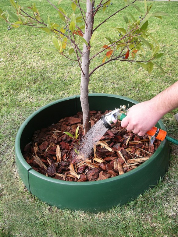 The GreenWell water saver contains and concentrates the water where it is needed during a tree’s critical root establishment phase.