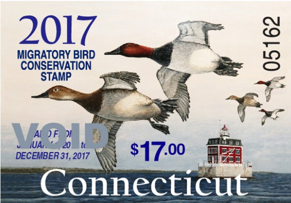 2017 Connecticut Migratory Bird Conservation Stamp, featuring canvasbacks on the Thames River and painted by Mark Thone.