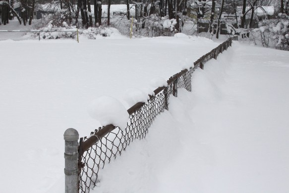 Photo by Chris Bosak Historic snowfall in Erie, Pennsylvania, Dec. 2017.