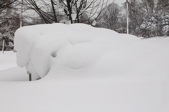 Photo by Chris Bosak Historic snowfall in Erie, Pennsylvania, Dec. 2017.