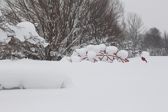Photo by Chris Bosak Historic snowfall in Erie, Pennsylvania, Dec. 2017.