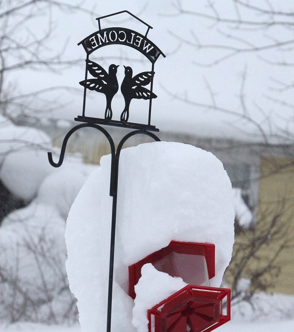Photo by Chris Bosak Historic snowfall in Erie, Pennsylvania, Dec. 2017.
