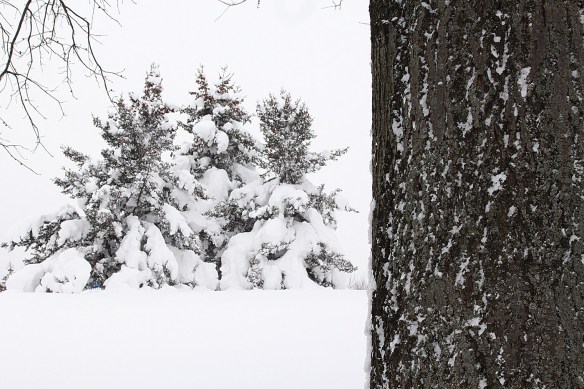 Photo by Chris Bosak Historic snowfall in Erie, Pennsylvania, Dec. 2017.