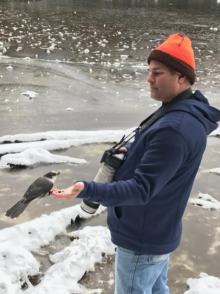 Photo by Chris Bosak  Feeding brave gray jays in Pittsburg, N.H., Nov. 5, 2018.